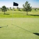 Repaso de las reglas del golf: Estás en el «green» dentro del número de golpes reglamentario (enhorabuena). Aquí tienes una guía rápida sobre el putt: green rules