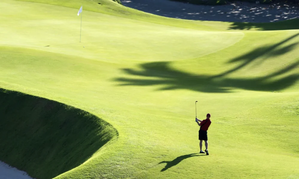 La «droga de iniciación» del golf tiene un nombre: «euforia del golpe»